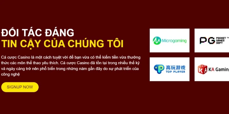 Nhà cái hướng tới chất lượng hoàn hảo và chuyên nghiệp tuyệt đối